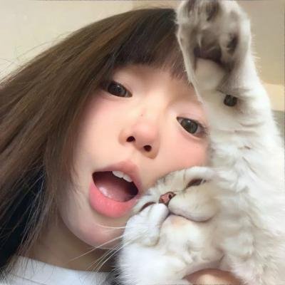 守法公民